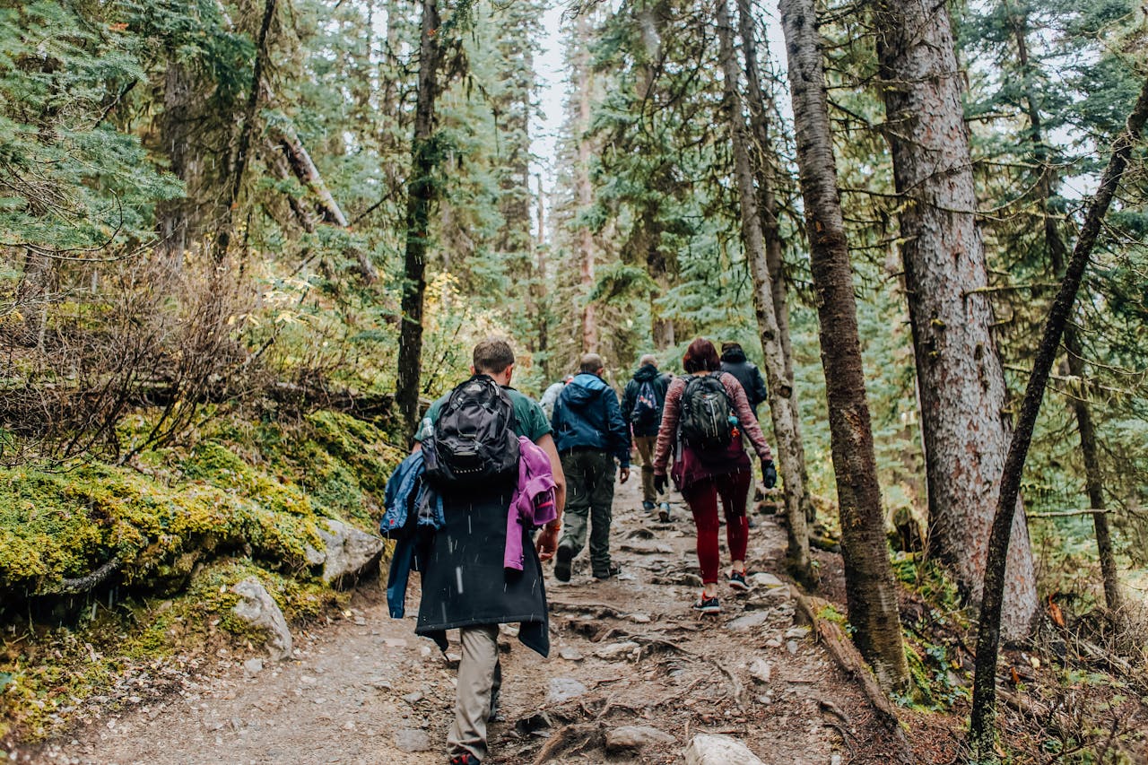 A group of hikers trekking through a lush, forested path in daylight, enjoying nature.